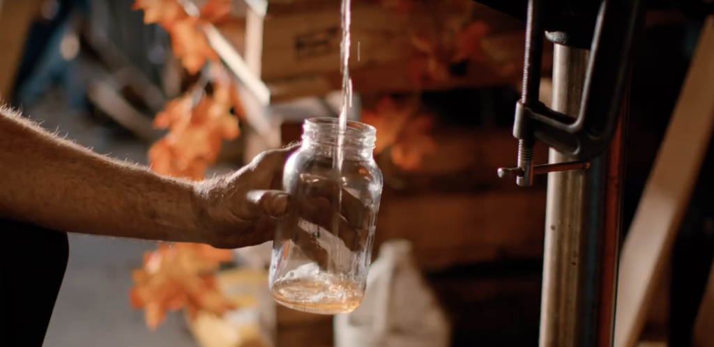 Collecting "pumpkin spice oil" during pressing